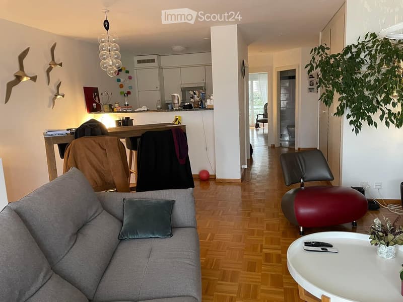Spacieux 77 m² avec vue panoramique lac & Alpes (1)