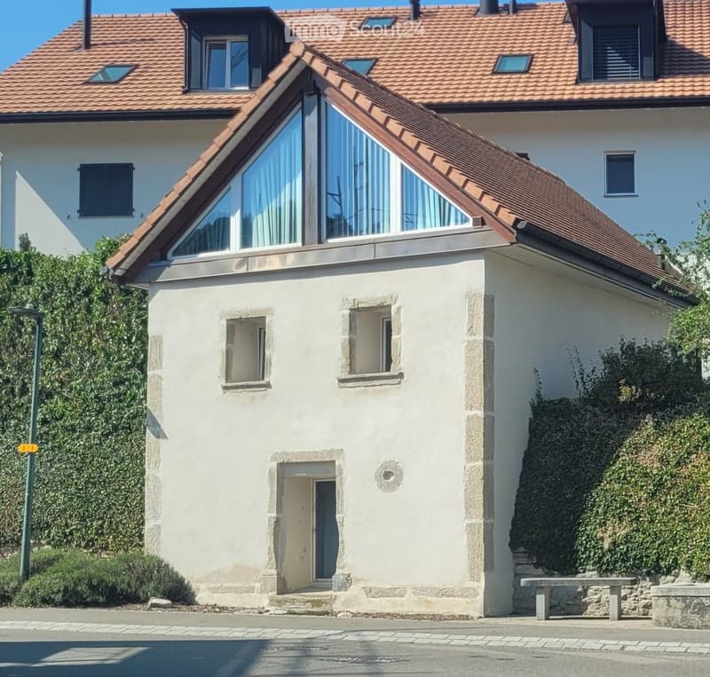 Maison atypique de 2,5 pièces (1)
