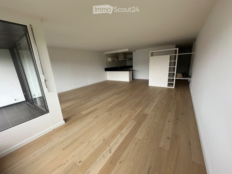 Appartamento 5 locali Ginevra Champel Florissant subentro in affitto (1)