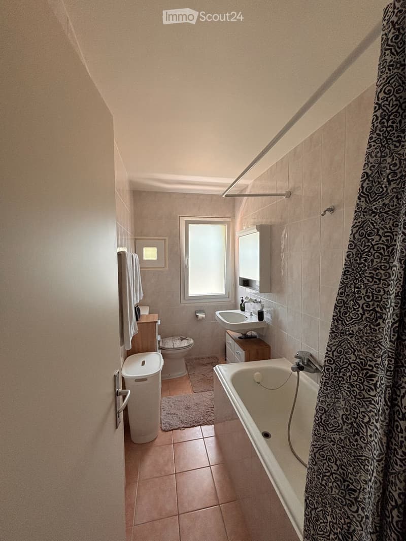 Appartamento 2.5 locali con ampio balcone - Rileva contratto (5)