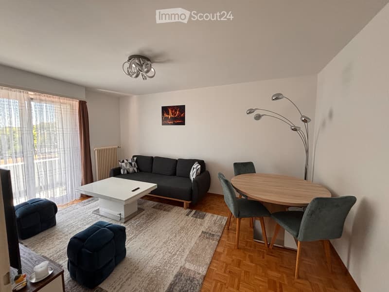 Appartamento 2.5 locali con ampio balcone - Rileva contratto (4)