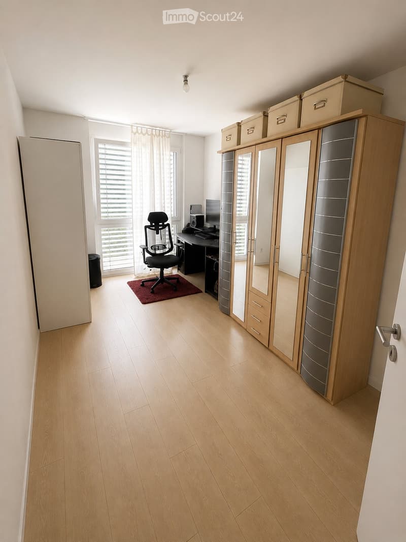 Prächtige 4.5-Zimmer-Wohnung (4)