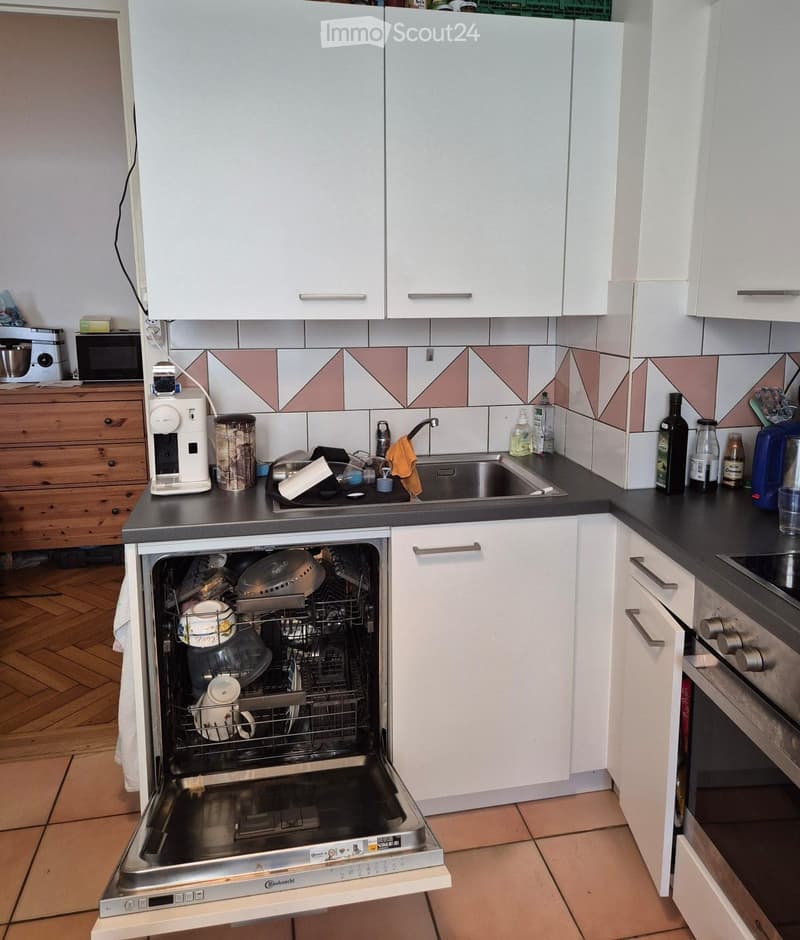 Bella appartamento 2 locali per subentro in affitto dal 1 settembre (2)