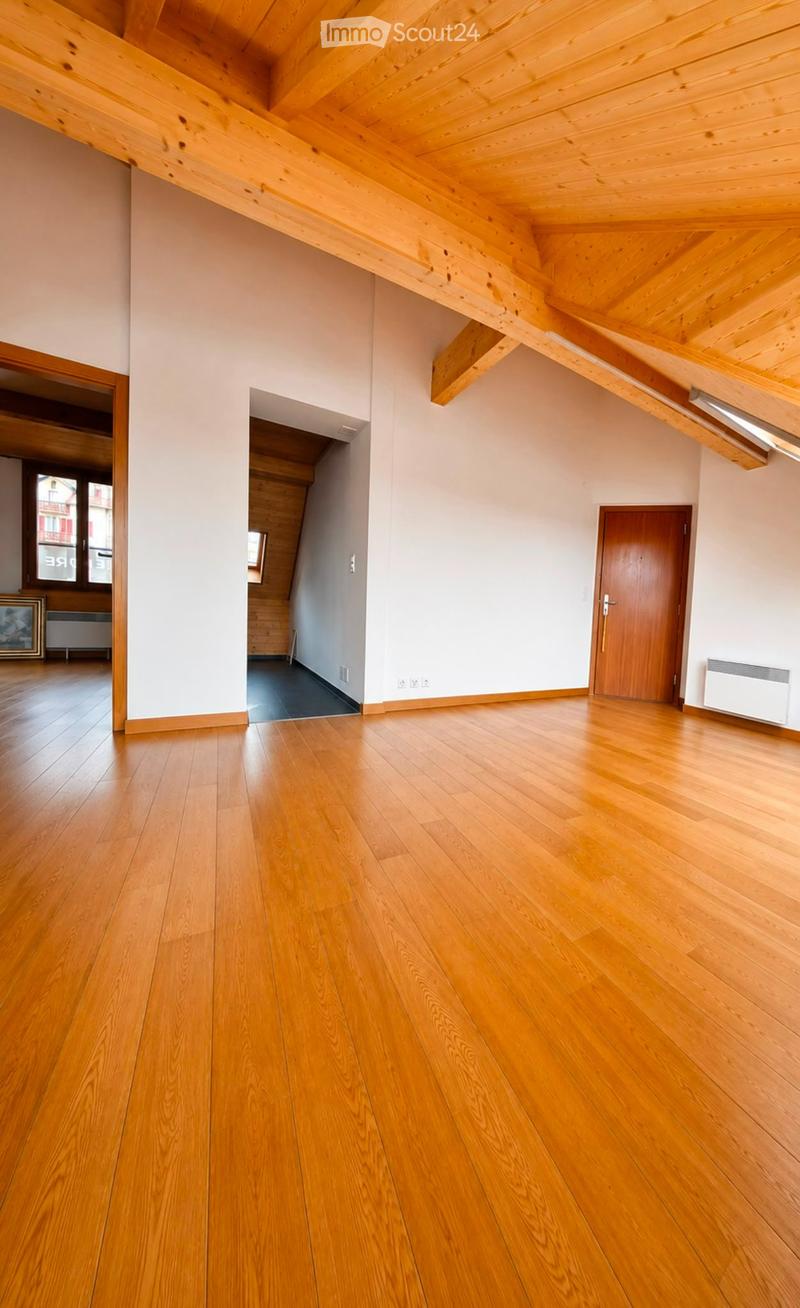 Attic with direct access to Lake Geneva, renovated with taste (2)