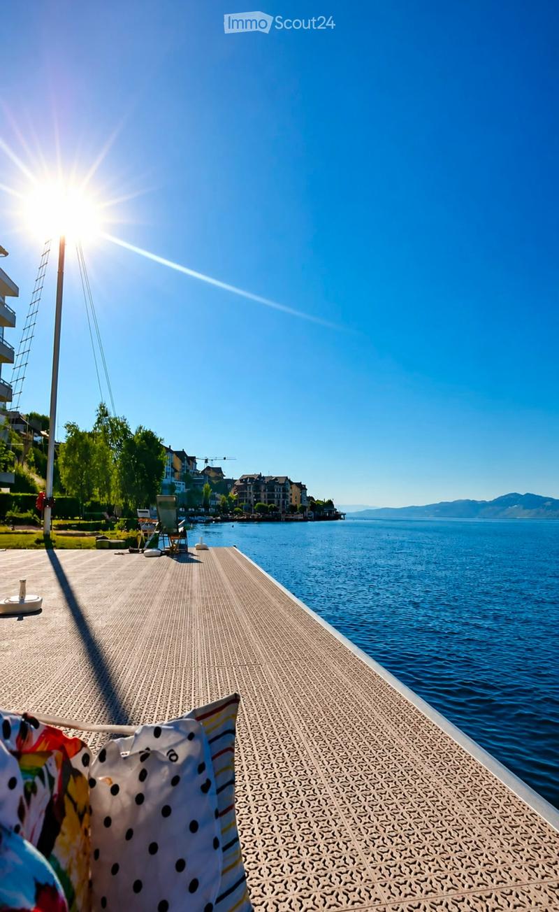 Attic with direct access to Lake Geneva, renovated with taste (1)