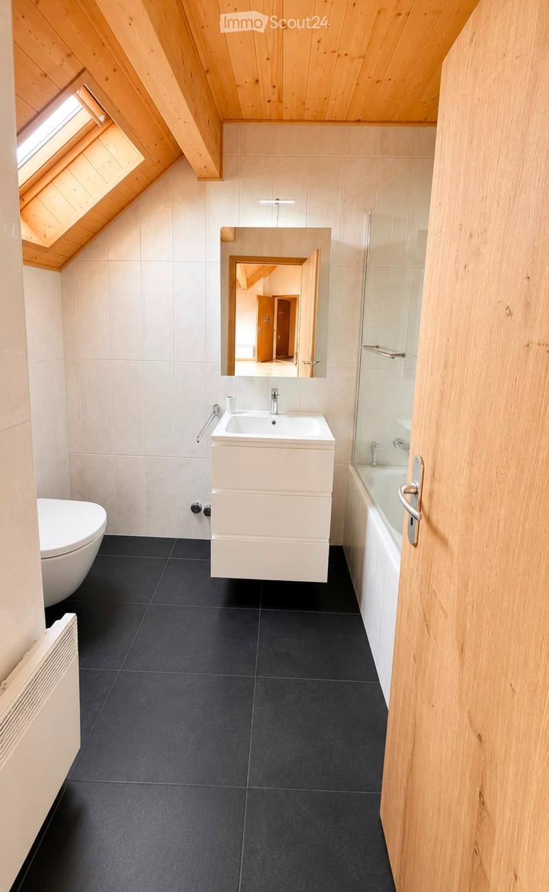 Attic with direct access to Lake Geneva, renovated with taste (4)