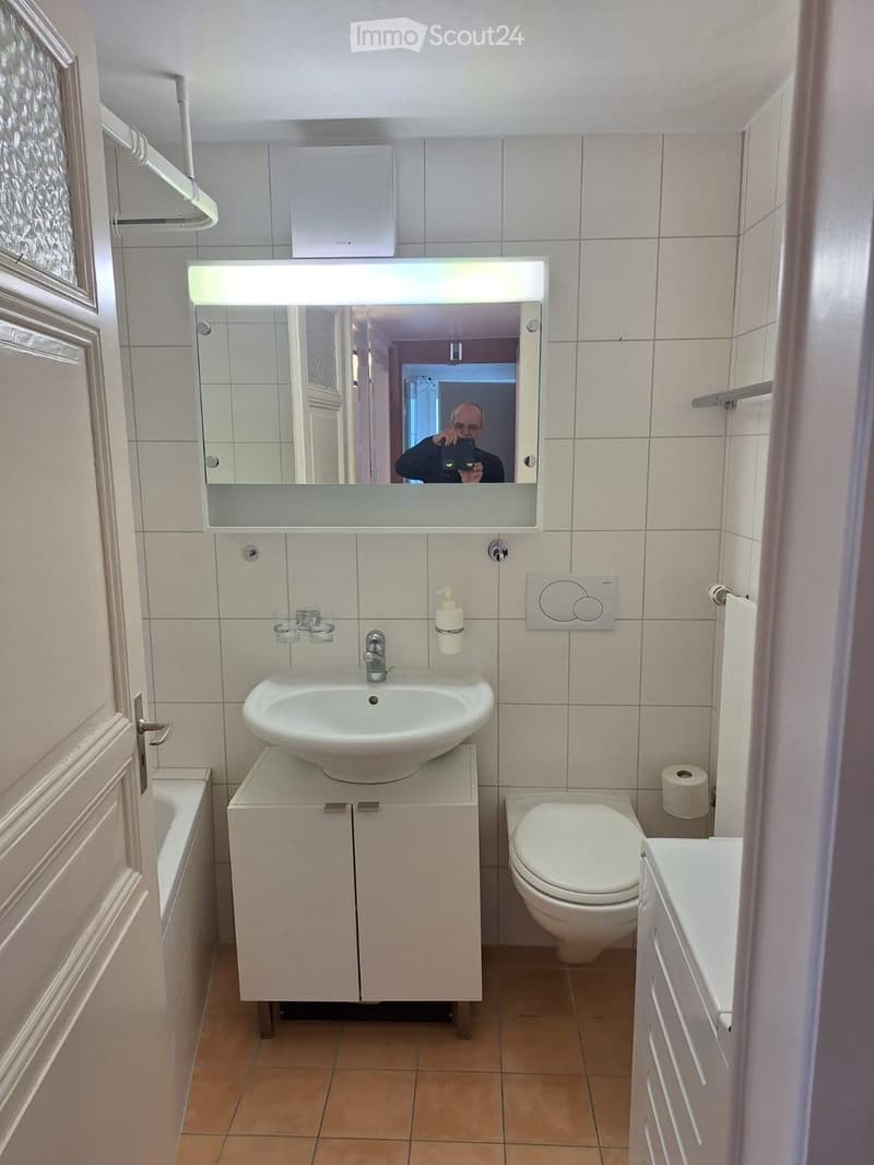 Two-room apartment bright, quiet with parking space (5)