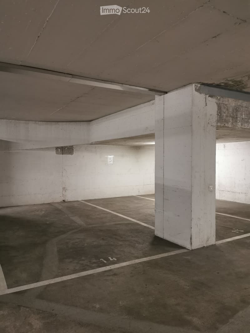 Lugano, Mieten oder Kaufen 3.5 Lokale mit Parkplatz (4)