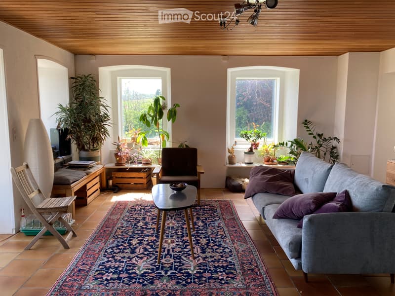 Collocation in Marchissy - room in an exceptional house (3)