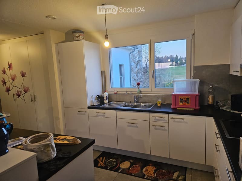 3,5 Zimmer mit atemberaubendem Blick (5)