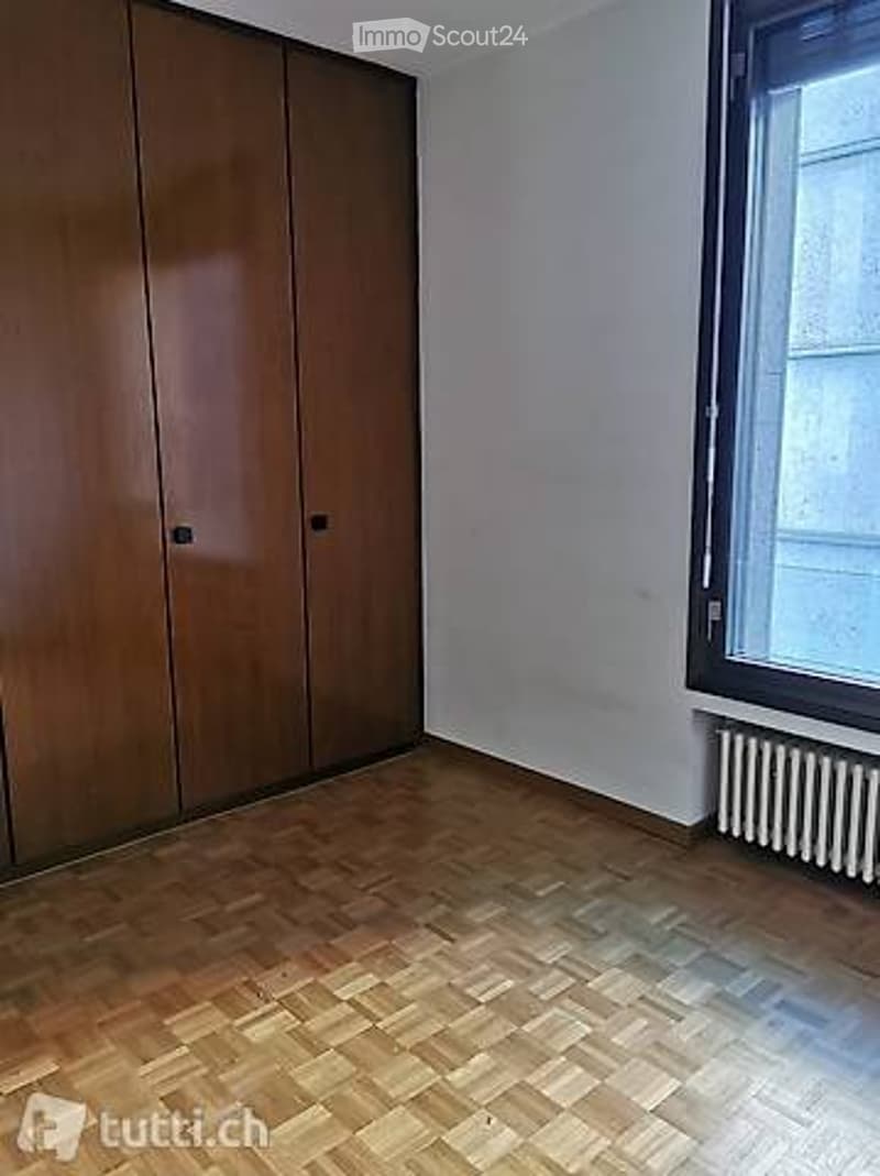 Lugano-Cassarate, 2-room apartment, furnished or unfurnished (3)