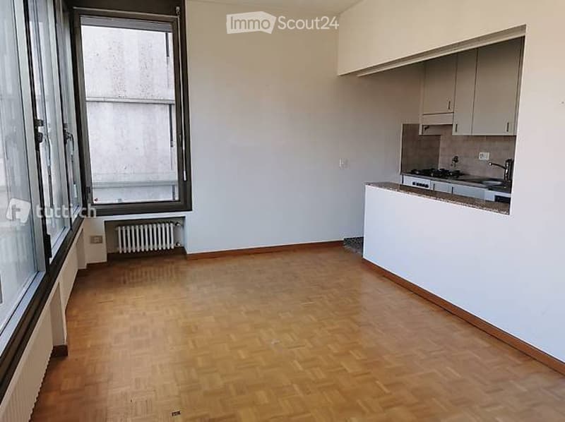 Lugano-Cassarate, 2-room apartment, furnished or unfurnished (2)