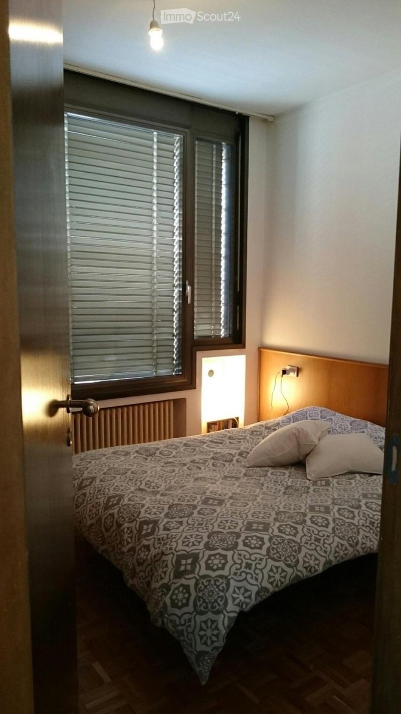 Lugano-Cassarate, 2-room apartment, furnished or unfurnished (5)