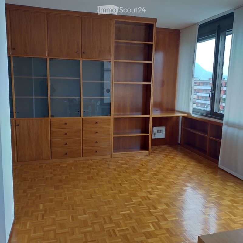 Lugano-Cassarate, 2-room apartment, furnished or unfurnished (4)