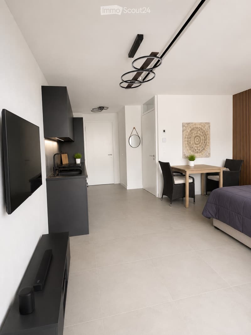 Studio magnifico 1.5 locali 35 m² CHF 1080/mese (3)