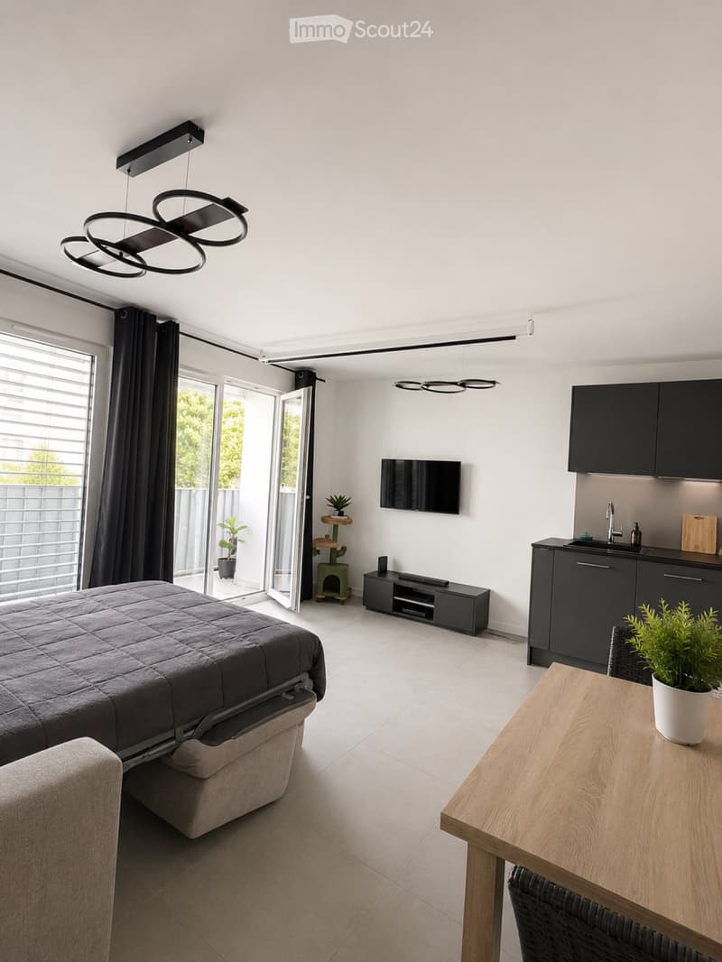 Studio magnifico 1.5 locali 35 m² CHF 1080/mese (2)
