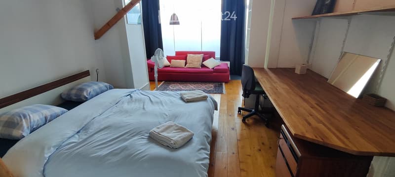 APPART DARTISTE MEUBLE PROCHE CENTREVILLE/LAC PARC Z. BLEU (3)