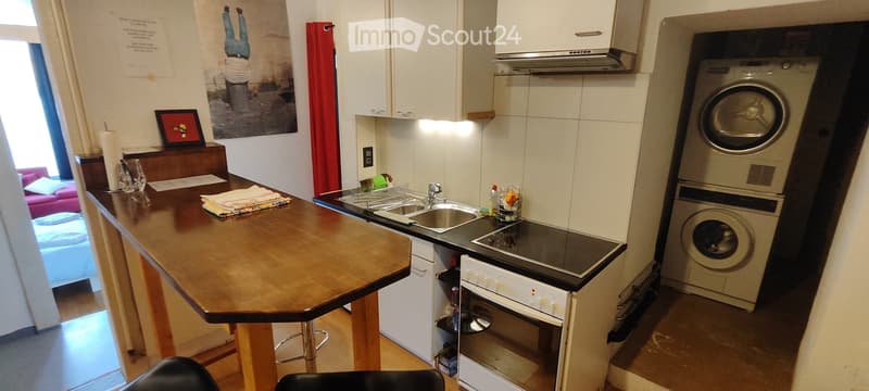 APPART DARTISTE MEUBLE PROCHE CENTREVILLE/LAC PARC Z. BLEU (10)