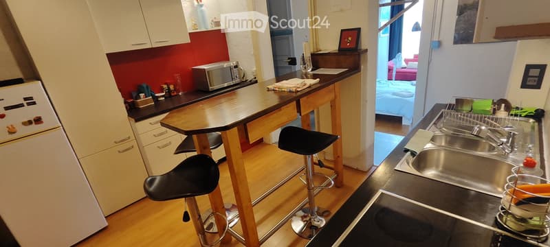 APPART DARTISTE MEUBLE PROCHE CENTREVILLE/LAC PARC Z. BLEU (5)