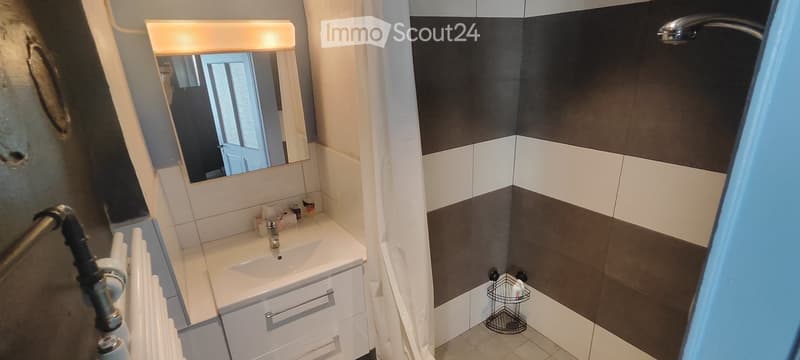 APPART DARTISTE MEUBLE PROCHE CENTREVILLE/LAC PARC Z. BLEU (6)