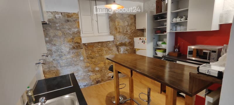 APPART DARTISTE MEUBLE PROCHE CENTREVILLE/LAC PARC Z. BLEU (2)