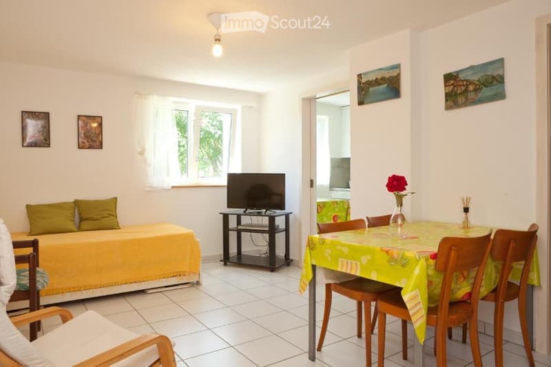 Apartment for rent in villa (5)