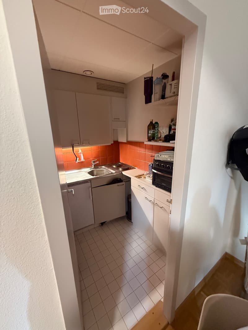 Studio 1,5 Zimmer zur Miete Quartier Champel (3)