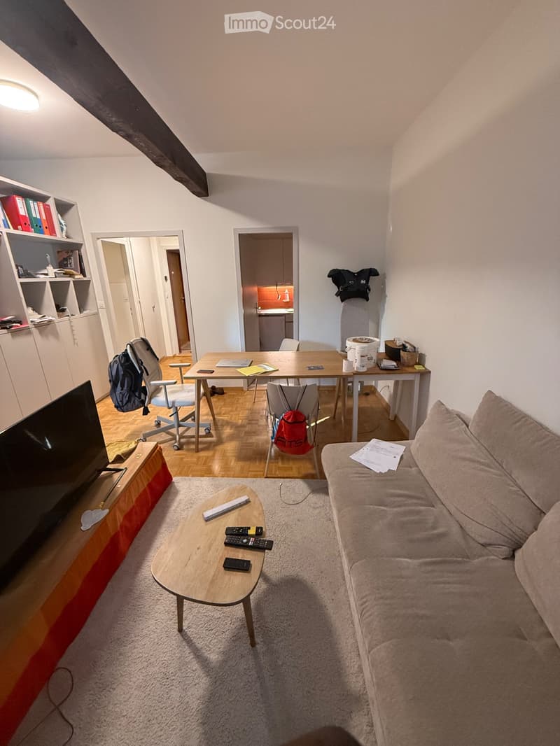 Studio 1,5 Zimmer zur Miete Quartier Champel (5)