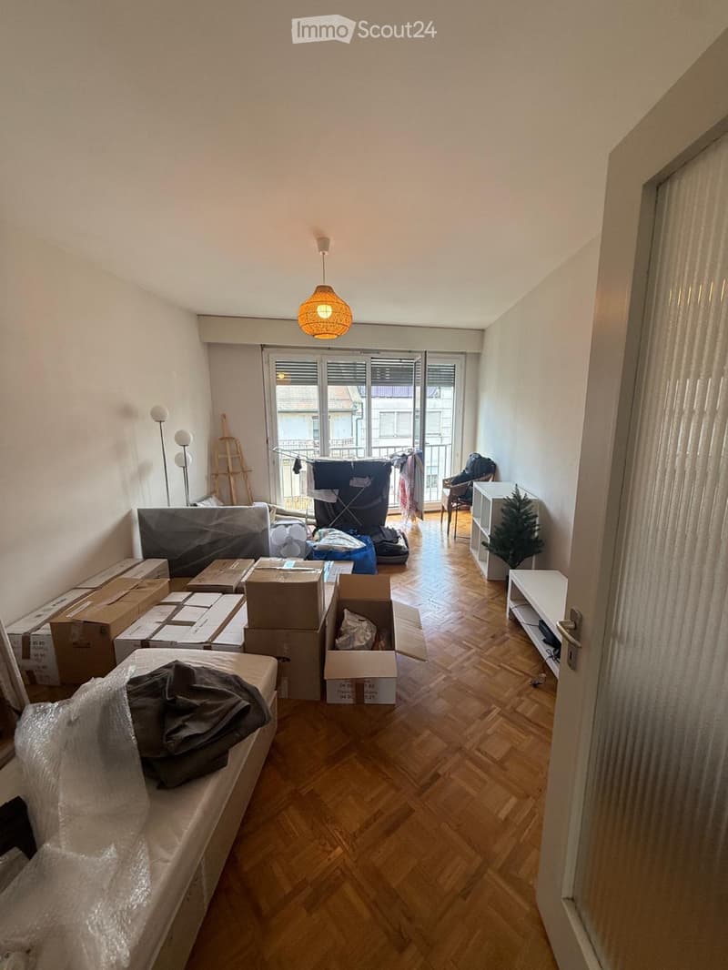 Appartement 3 pièces Jonction (3)