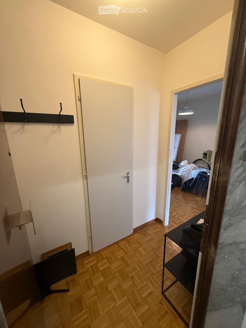 Appartement 3 pièces Jonction (5)
