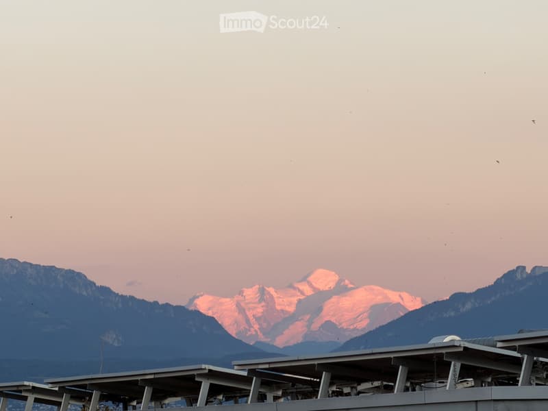 Takeover of lease: Modern 2-room apartment in Morges, from 01.10 (3)