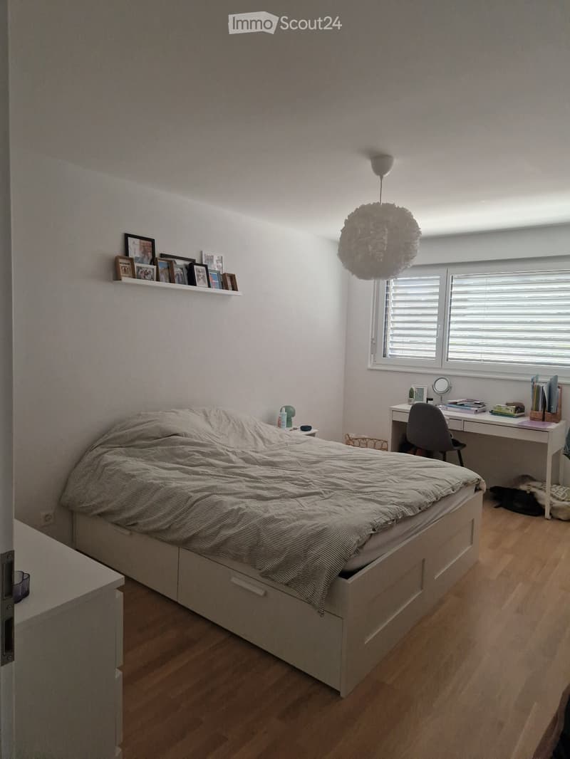 Recherche colocataire (5)