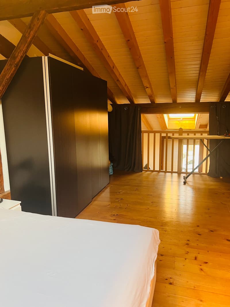 Ripreso in affitto Loft (81 m²) con posto auto Carouge (5)