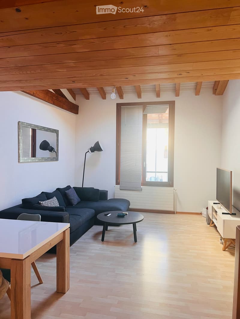 Ripreso in affitto Loft (81 m²) con posto auto Carouge (3)