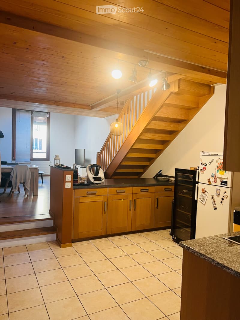 Ripreso in affitto Loft (81 m²) con posto auto Carouge (1)
