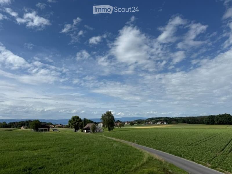 Bell'appartamento di 2,5 locali in un ambiente verde e tranquillo (3)