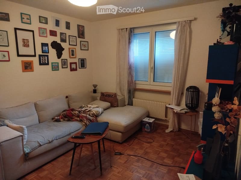 Superbo appartamento vicino ai servizi - trasporti e calmo (5)