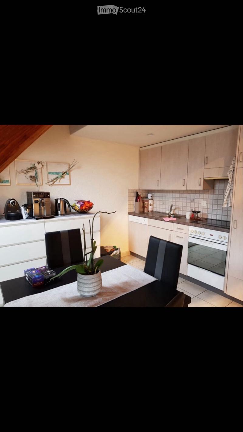 Zweieinhalb-Zimmer-Duplex-Wohnung in Delley (4)