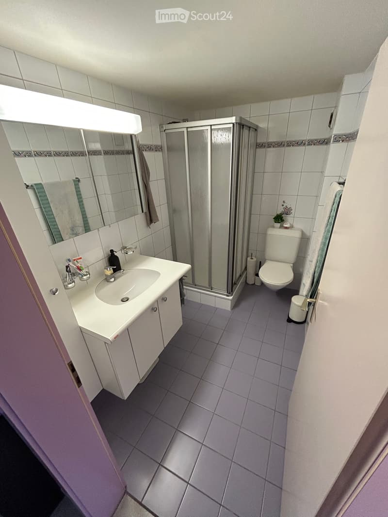 Zweieinhalb-Zimmer-Duplex-Wohnung in Delley (5)