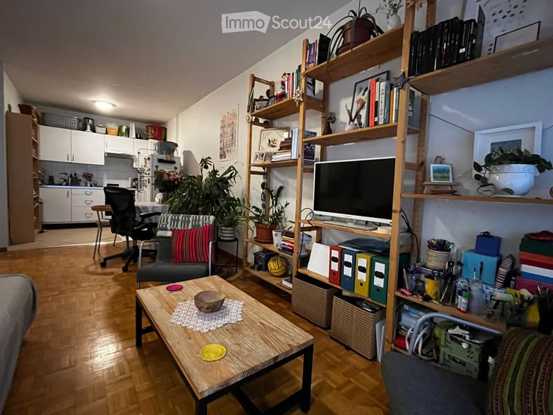LEASE TAKE OVER - Apartment1205 Genève Rue Charles-Humbert (2)