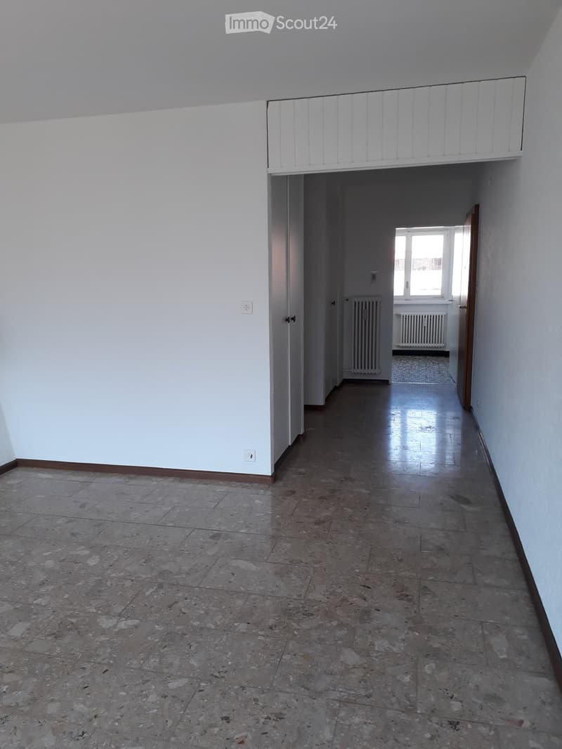 grand 2,5 pièces (3)