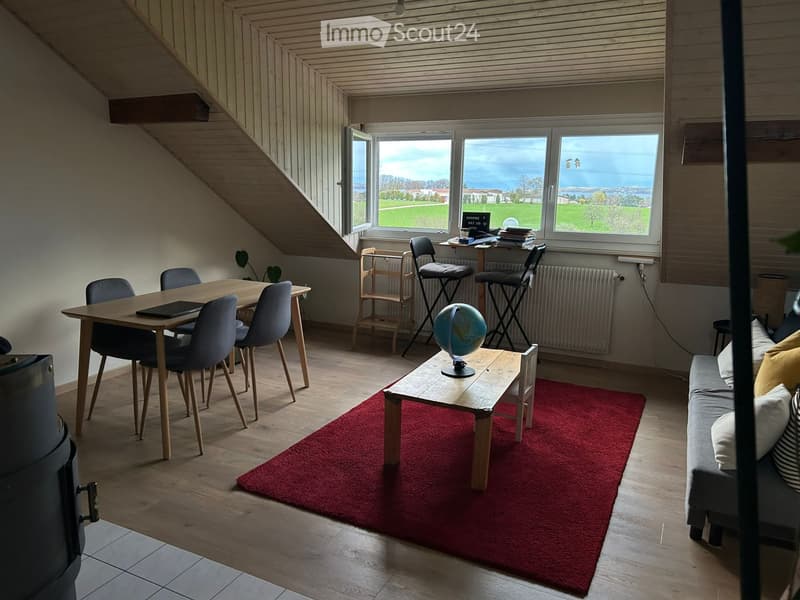 Appartement meublé 3.5p à sous-louer à Founex (1)