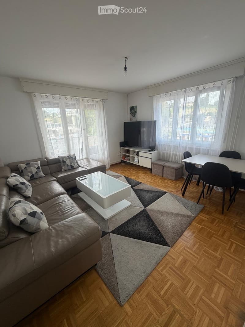 Appartamento a Friburgo (1)