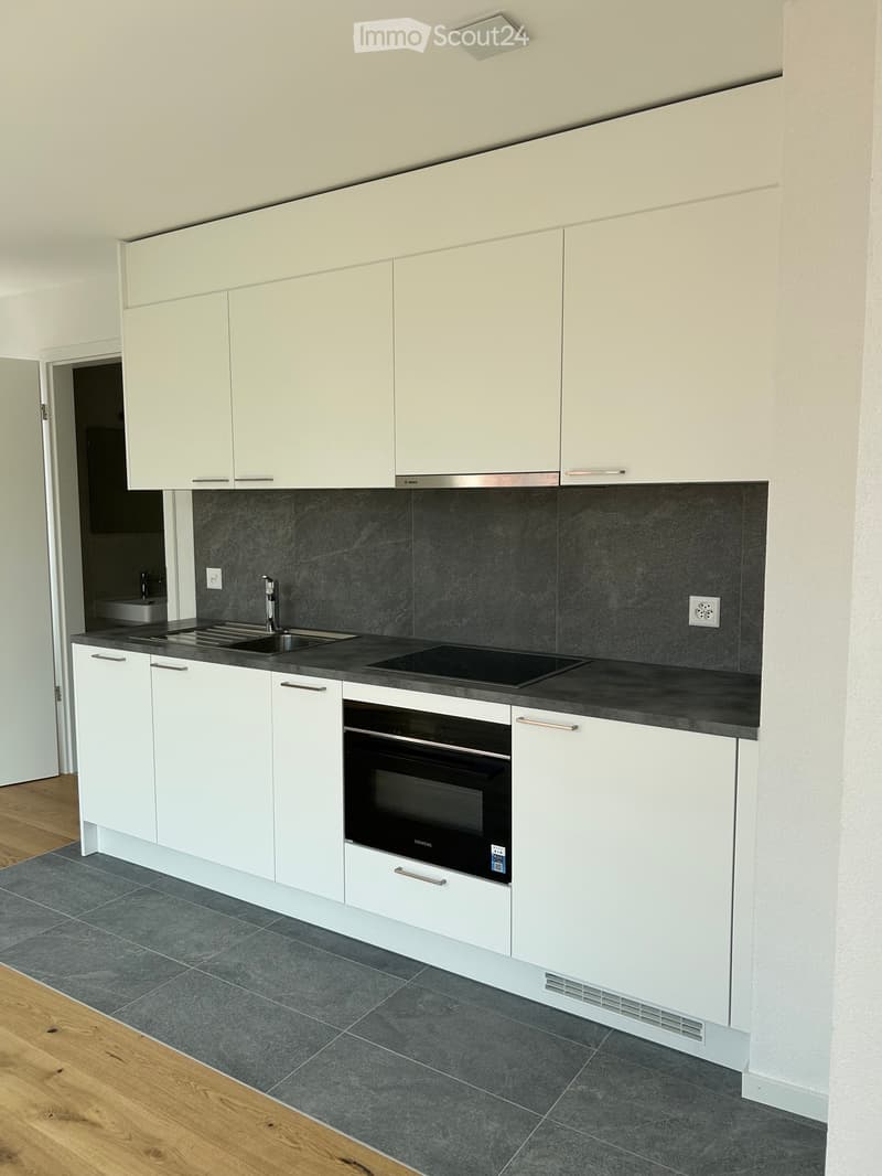 Studio nuovo in affitto (2)