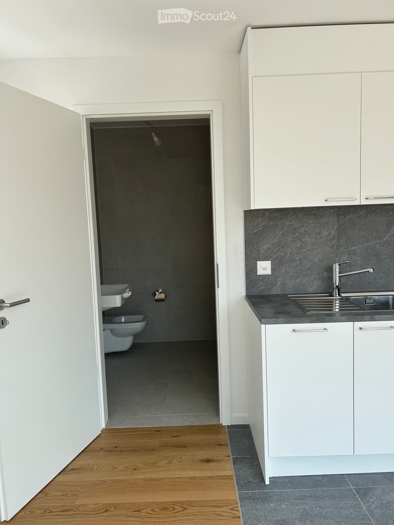 Studio nuovo in affitto (3)