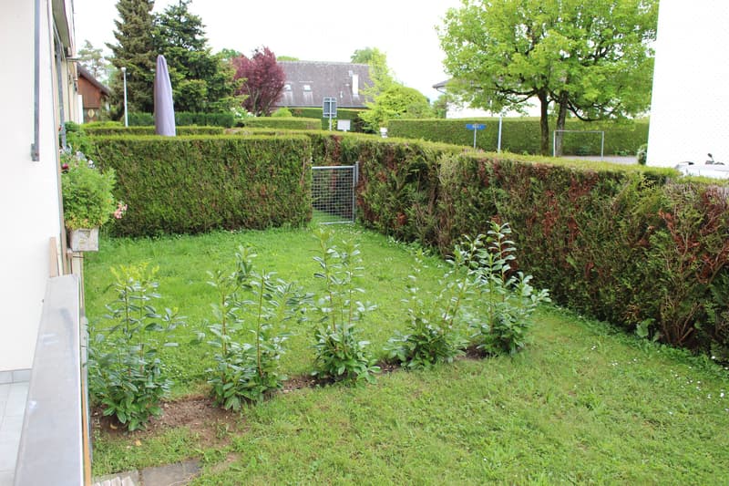 Prangins (Nyon) 3.5 rooms with small garden (5)