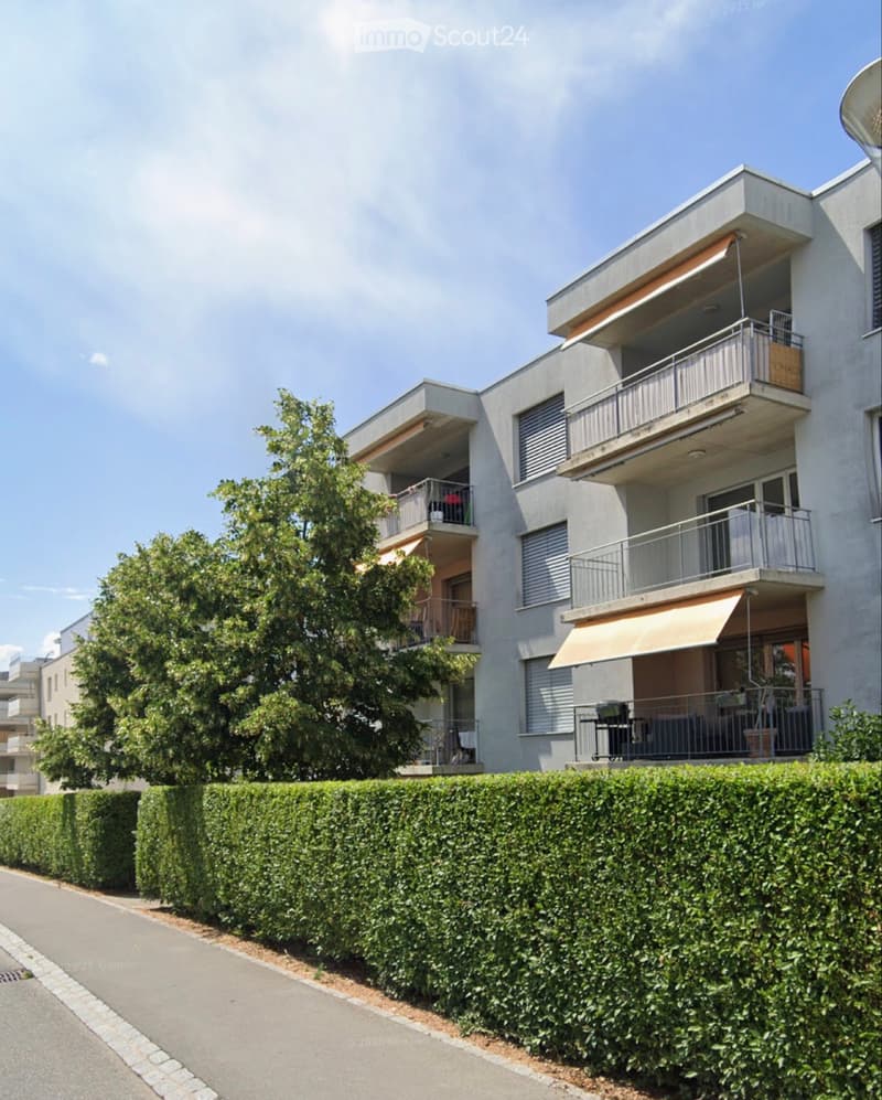 Reprise de bail appartement 3,5 Avenches (1)