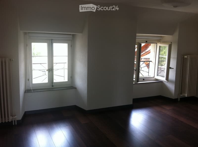 Appartement-Loft 100m2 - ruhig gelegen, 3 Minuten von der Autobahn. (2)