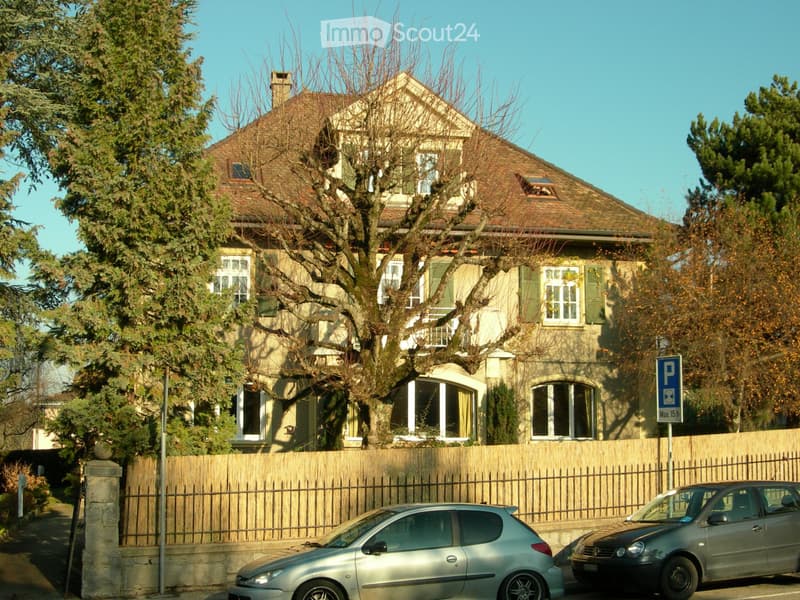 Echallens bourg, charmant appartement de 100m2 (1)