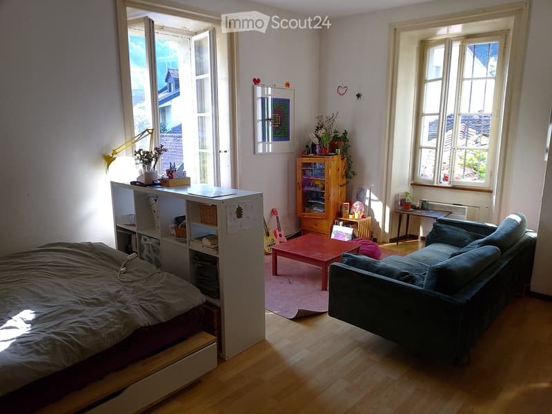 Grand 2 pièces en basse-ville Fribourg (4)